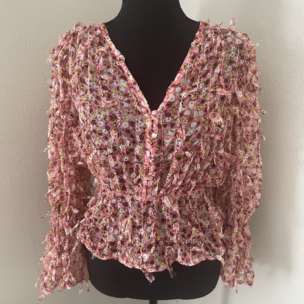 ZARA Womens Sz XS Pink Floral Textured Sheer Chiffon Top Coquette Feminine Boho